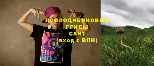 прущие крисы Горнозаводск