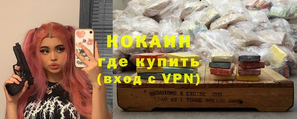 ECSTASY Горняк