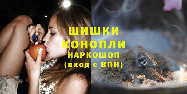 ECSTASY Горняк