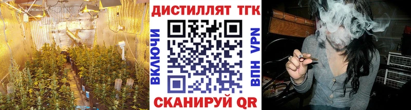 ТГК Wax  Купить  Красноуфимск 
